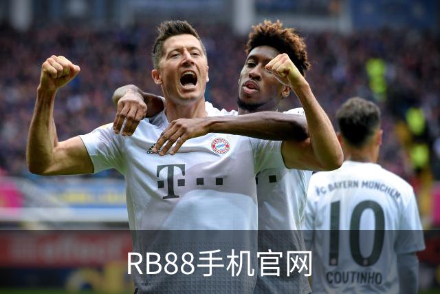 RB88手机官网公司简介图